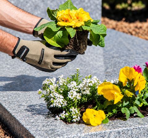 Fleurissement d'une sépulture